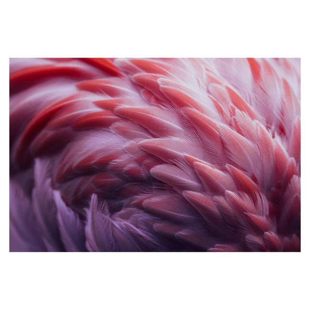 Fototapeta Zbliżenie na pióra flaminga