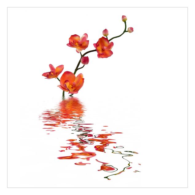 Fototapeta - Pieniste wody orchidei