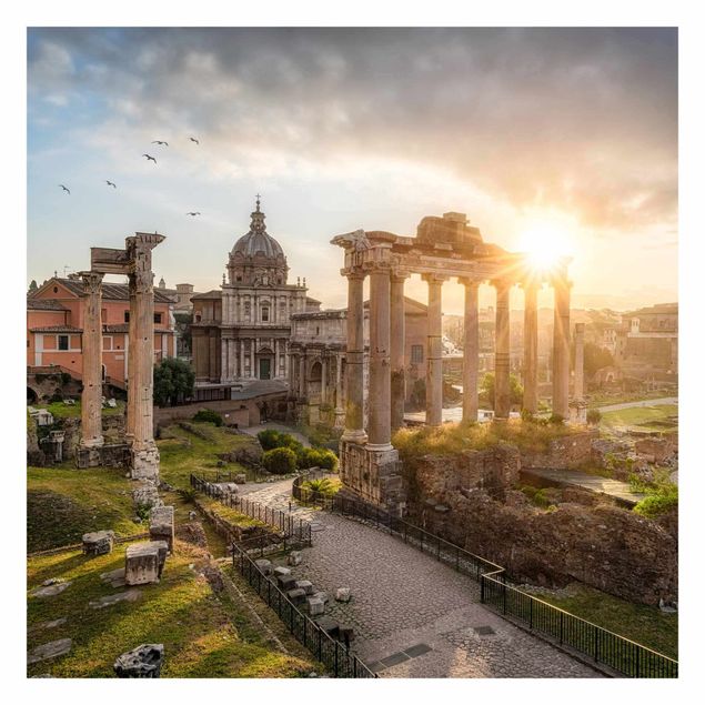 Fototapeta Forum Romanum o wschodzie słońca