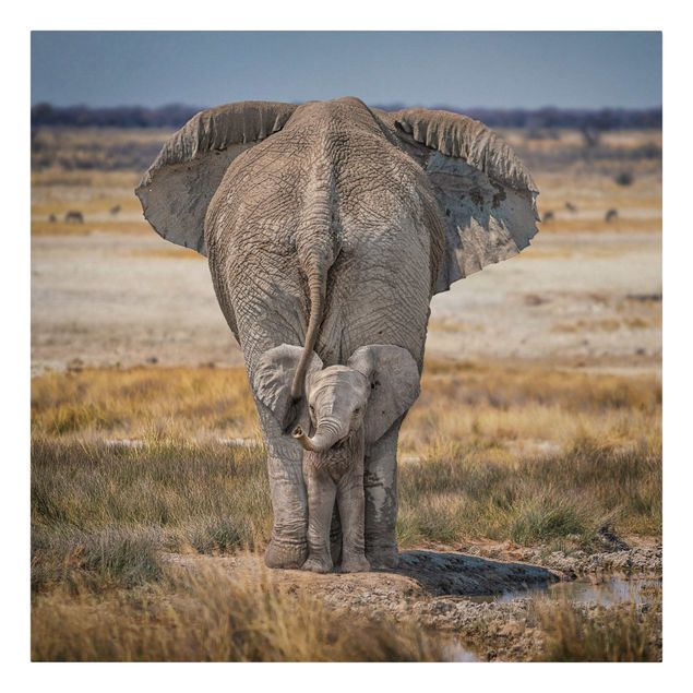 Słoń obraz Bezczelny słoń