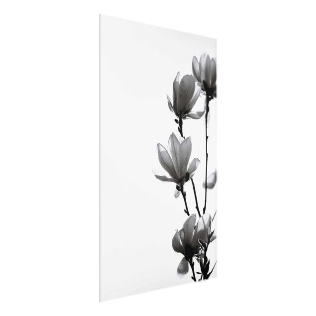 Obrazy nowoczesny Spring Messenger Magnolia czarno-biały
