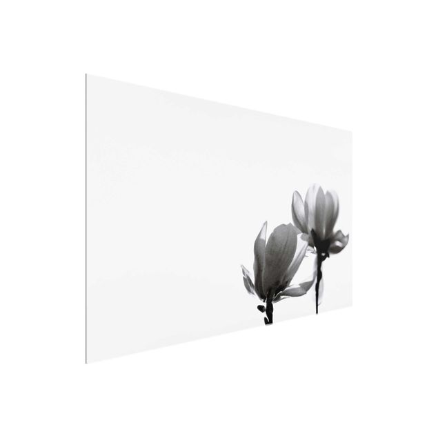 Obrazy nowoczesny Spring Messenger Magnolia czarno-biały