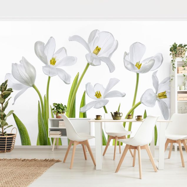 Biała tapeta Pięć białych tulipanów