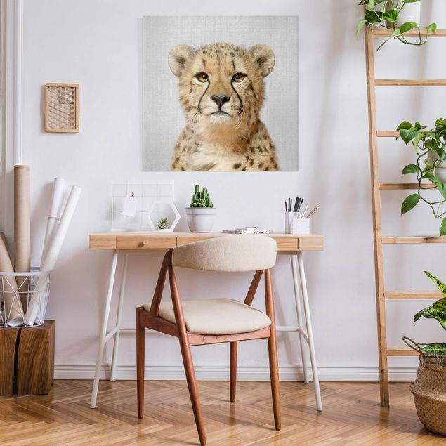 Obrazy do salonu nowoczesne Cheetah Gerald