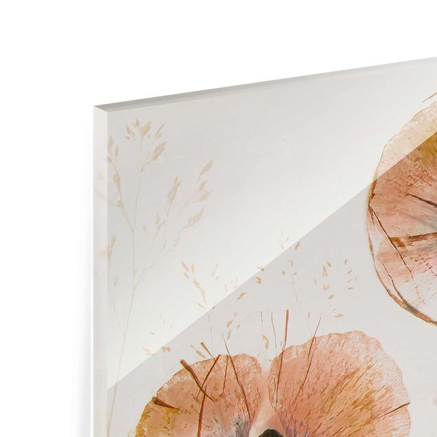 Obrazy motywy kwiatowe Suszone maki z delikatnymi trawami
