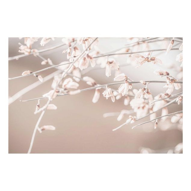Obrazy z motywem kwiatowym Gałązki wrzosów