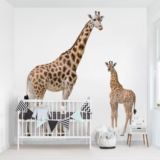 żyrafa tapeta Żyrafa Matka z dzieckiem