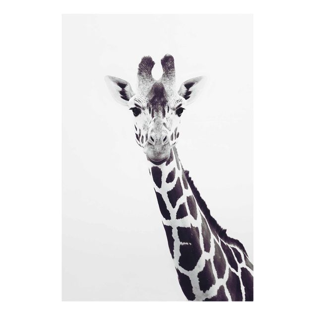 Obrazy na szkle zwierzęta Portret żyrafy w czerni i bieli