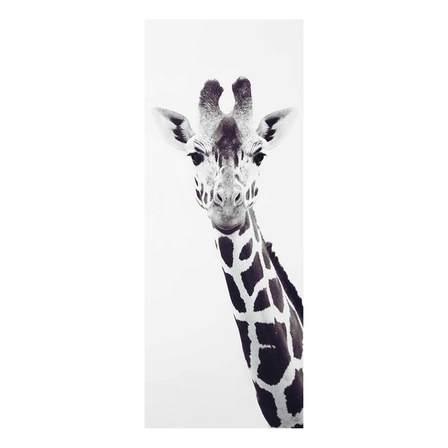 Obrazy na szkle zwierzęta Portret żyrafy w czerni i bieli