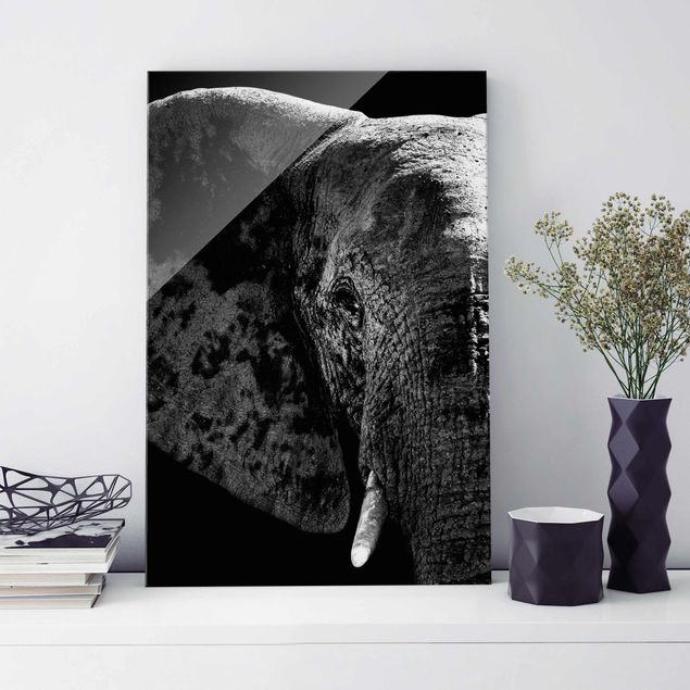 Słoń obraz Słoń afrykański czarno-biały