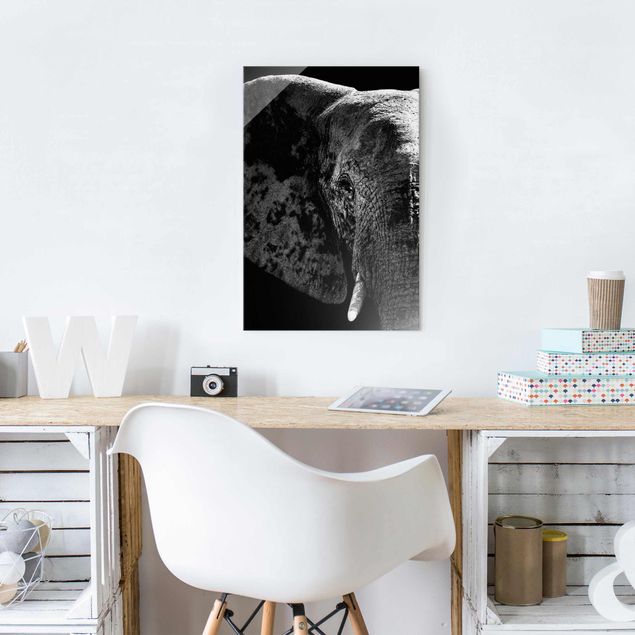 Obrazy na szkle portret Słoń afrykański czarno-biały