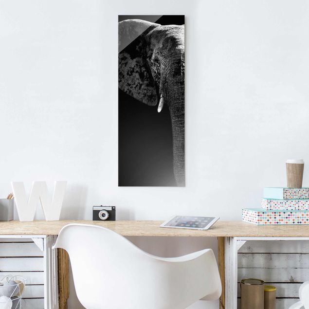 Obrazy na szkle portret Słoń afrykański czarno-biały