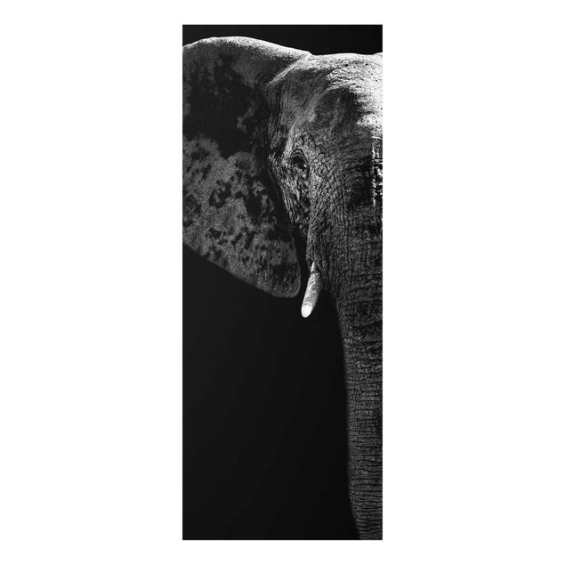 Obrazy na szkle zwierzęta Słoń afrykański czarno-biały