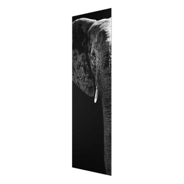 Obrazy do salonu nowoczesne Słoń afrykański czarno-biały