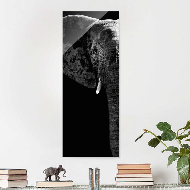 Słoń obraz Słoń afrykański czarno-biały