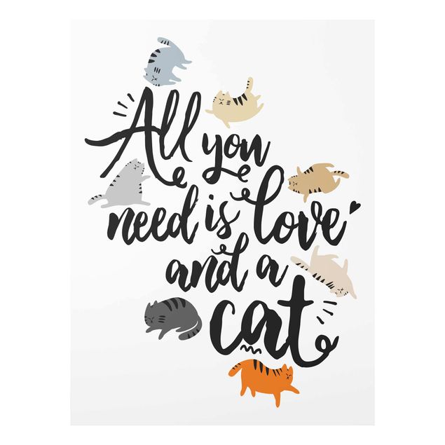 Obrazy na szkle zwierzęta Wszystko, czego potrzebujesz, to miłość i kot