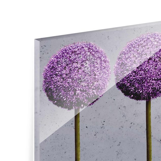 Obraz na szkle - Kwiaty kuliste Allium