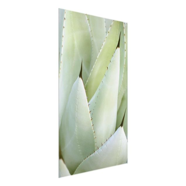 Obrazy nowoczesne Aloe