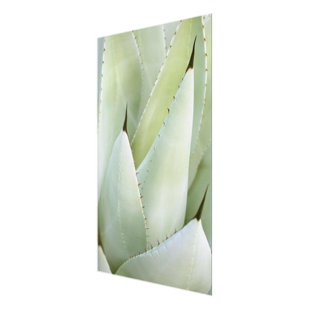Obrazy kwiatowe Aloe