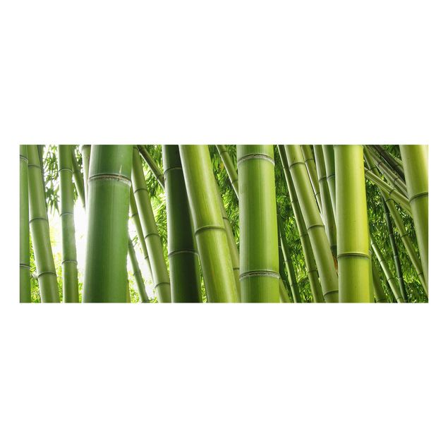 Obrazy nowoczesne Drzewa bambusowe Nr 1