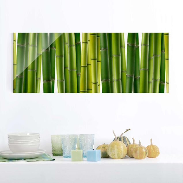 Obrazy na szkle panorama Rośliny bambusowe