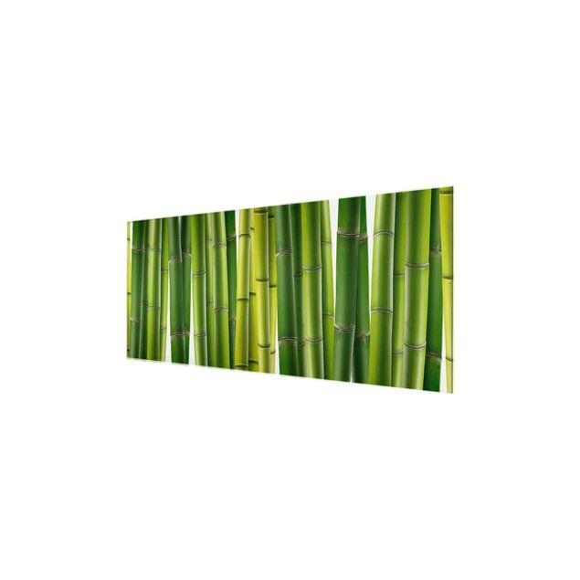 Obrazy do salonu Rośliny bambusowe