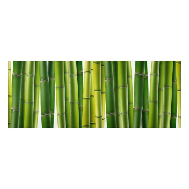 Obrazy nowoczesne Rośliny bambusowe