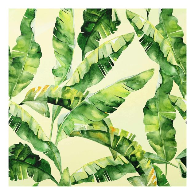 Zielony obraz Liście bananowca Akwarela