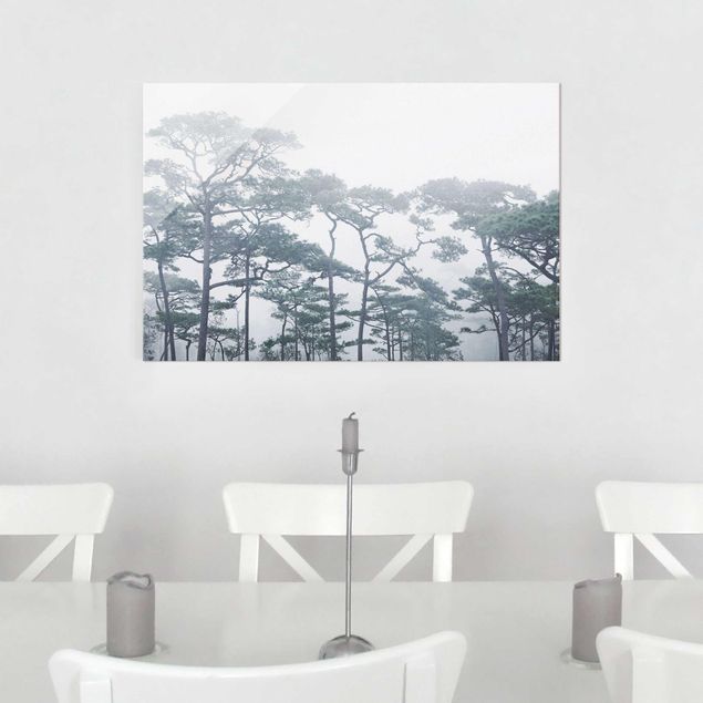 Obrazy na szkle poziomy Wierzchołki drzew we mgle