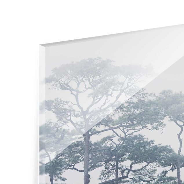 Obrazy na ścianę krajobrazy Wierzchołki drzew we mgle