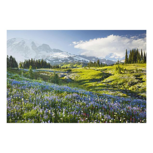 Obrazy na szkle krajobraz Mountain Meadow With Blue Flowers in Front of Mt. Rainier