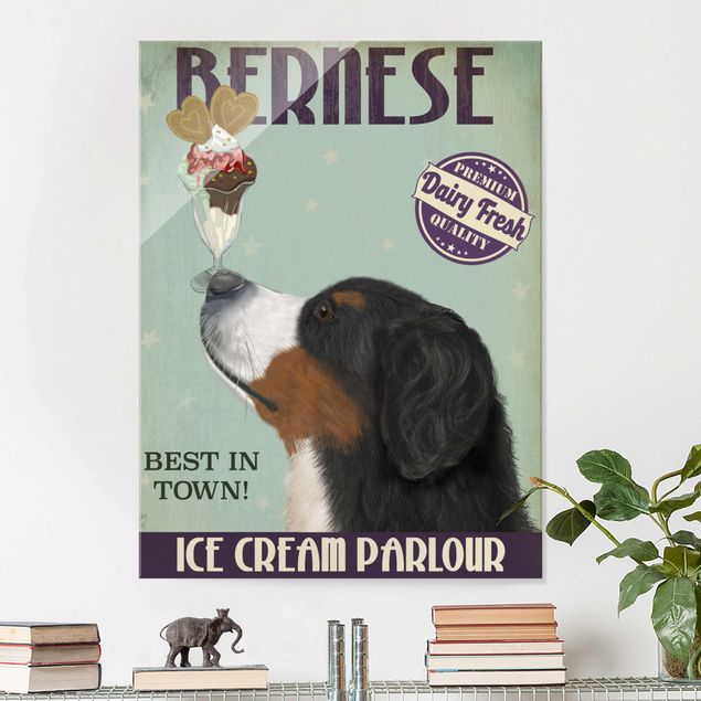 Obrazy na szkle portret Bernese Mountain Dog z lodami