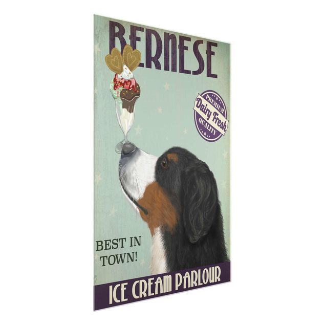 Obrazy na szkle zwierzęta Bernese Mountain Dog z lodami