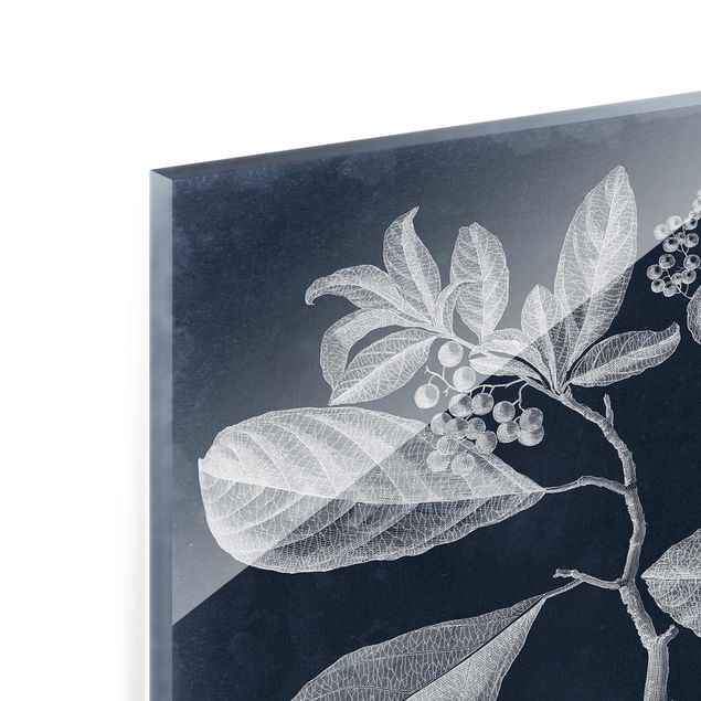 Obrazy z motywem kwiatowym Liście Ciemnoniebieski - Kordie