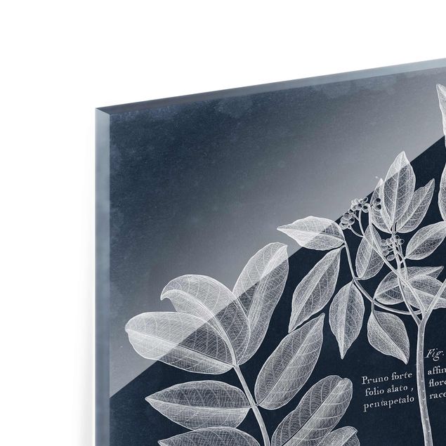 Obrazy z motywem kwiatowym Liście Ciemnoniebieski - Mangrove