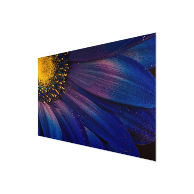Obrazy kwiatowe Kwiat garbnika niebieskiego