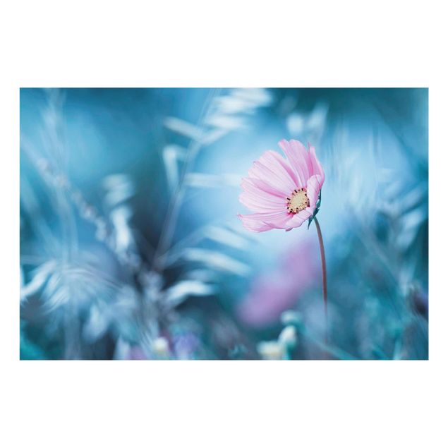 Obrazy z motywem kwiatowym Kwiat w pastelach