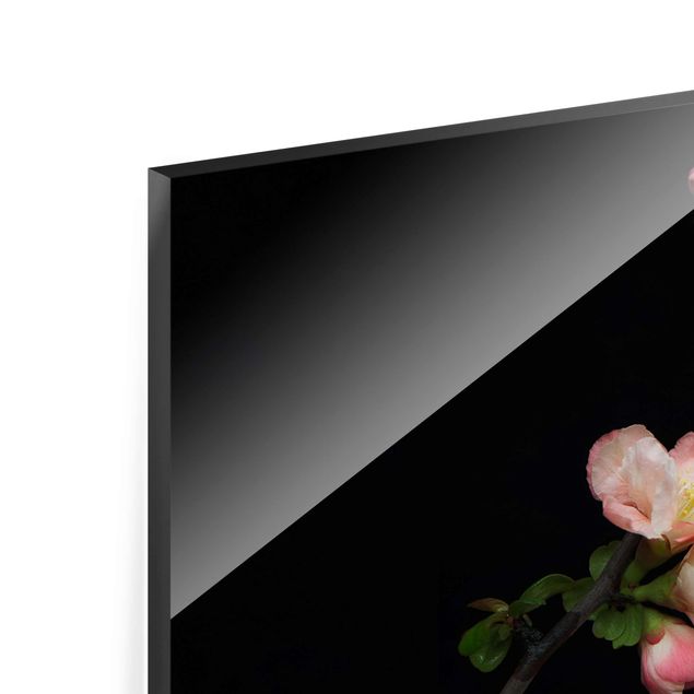 Obrazy na ścianę Jabłoń z kwitnącą gałązką