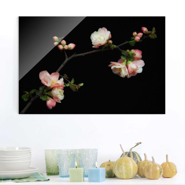 Obrazy na szkle poziomy Jabłoń z kwitnącą gałązką