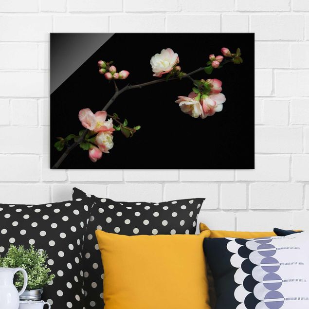 Obrazy do salonu Jabłoń z kwitnącą gałązką
