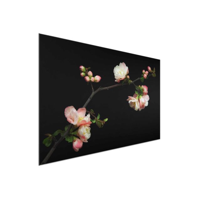 Obrazy nowoczesne Jabłoń z kwitnącą gałązką