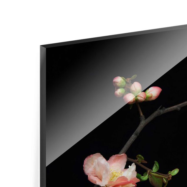 Obrazy na ścianę Jabłoń z kwitnącą gałązką