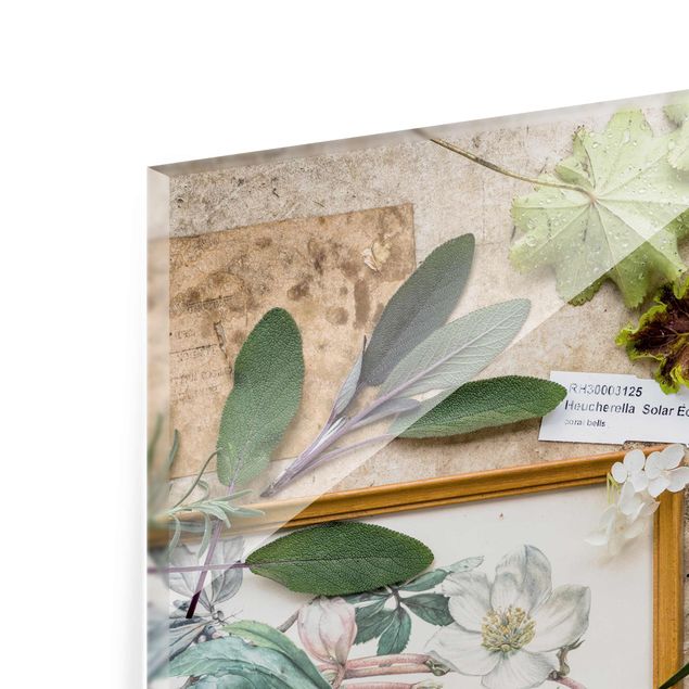 Magnettafel Glas Kwiaty i zioła ogrodowe Vintage