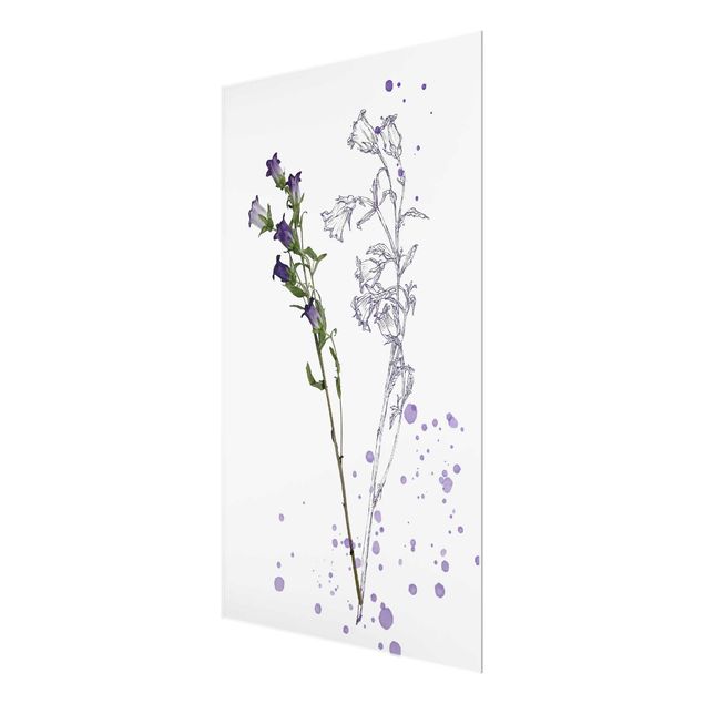 Obrazy motywy kwiatowe Akwarela botaniczna - Dzwonek