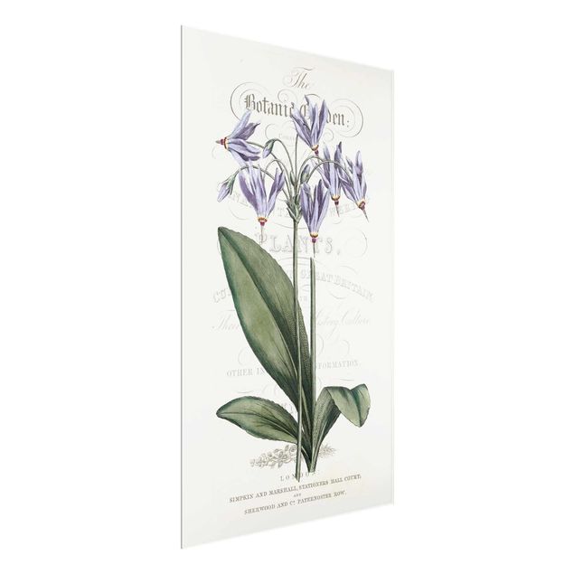 Obrazy do salonu nowoczesne Tablica botaniczna - Kwiat bogów