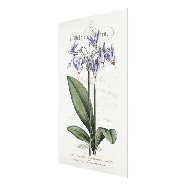 Obrazy powiedzenia Tablica botaniczna - Kwiat bogów