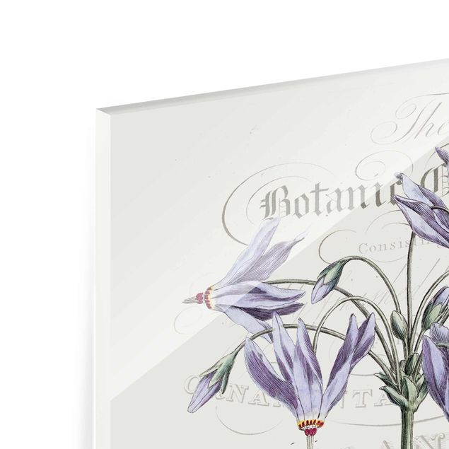 Obrazy z motywem kwiatowym Tablica botaniczna - Kwiat bogów