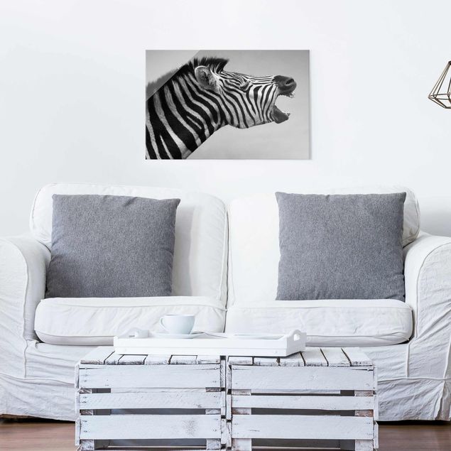 Obrazy na szkle poziomy Rycząca Zebra II