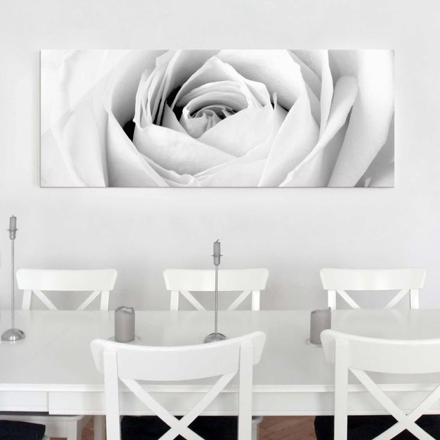 Obrazy na szkle róże Róża z bliska