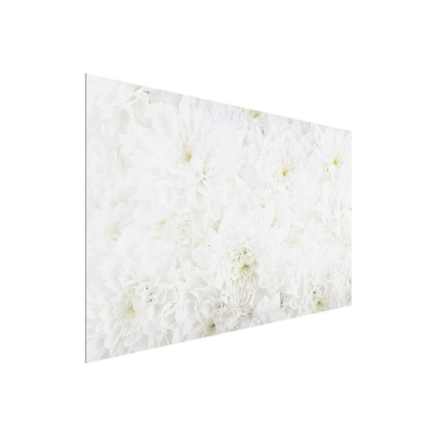 Obrazy do salonu Dahlie Morze kwiatów białe